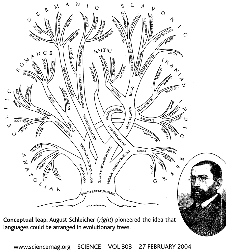 Diagram - Schleichers Language Tree