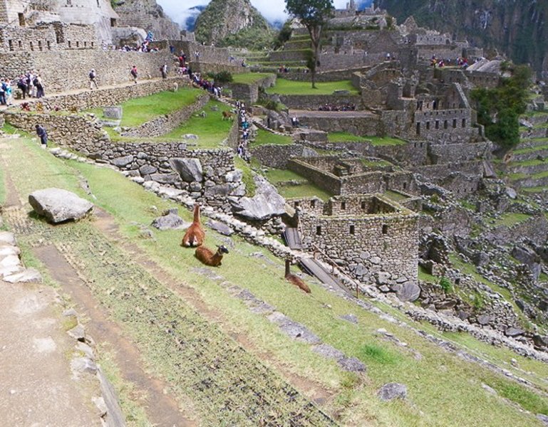 Peru - Machu Picchu - 04