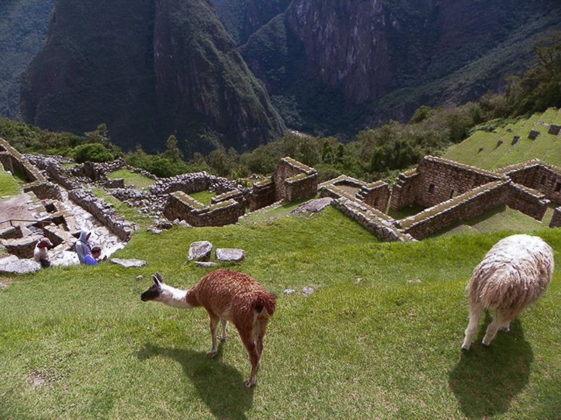 Peru - Machu Picchu - 05